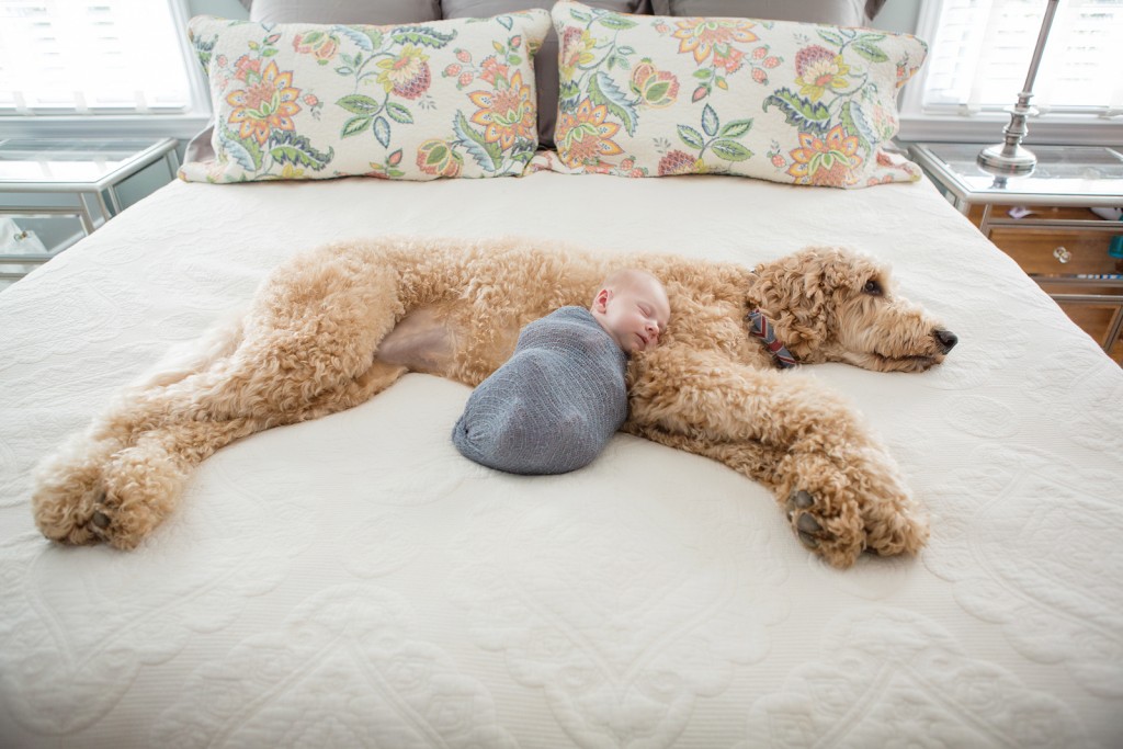 Dog sleeping with baby