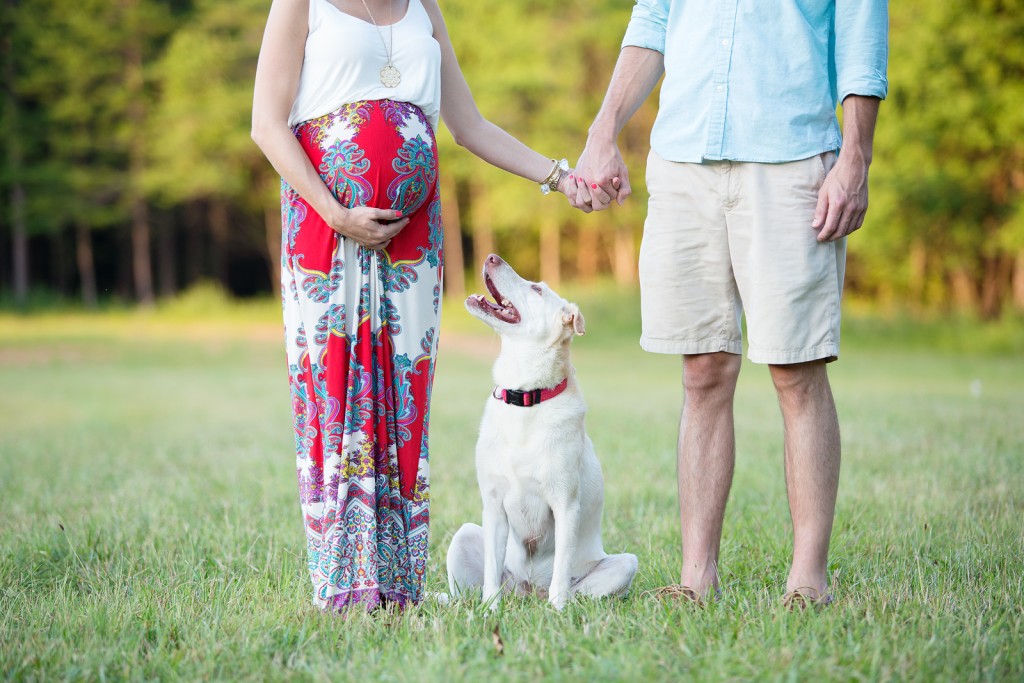 maternity pictures with dog