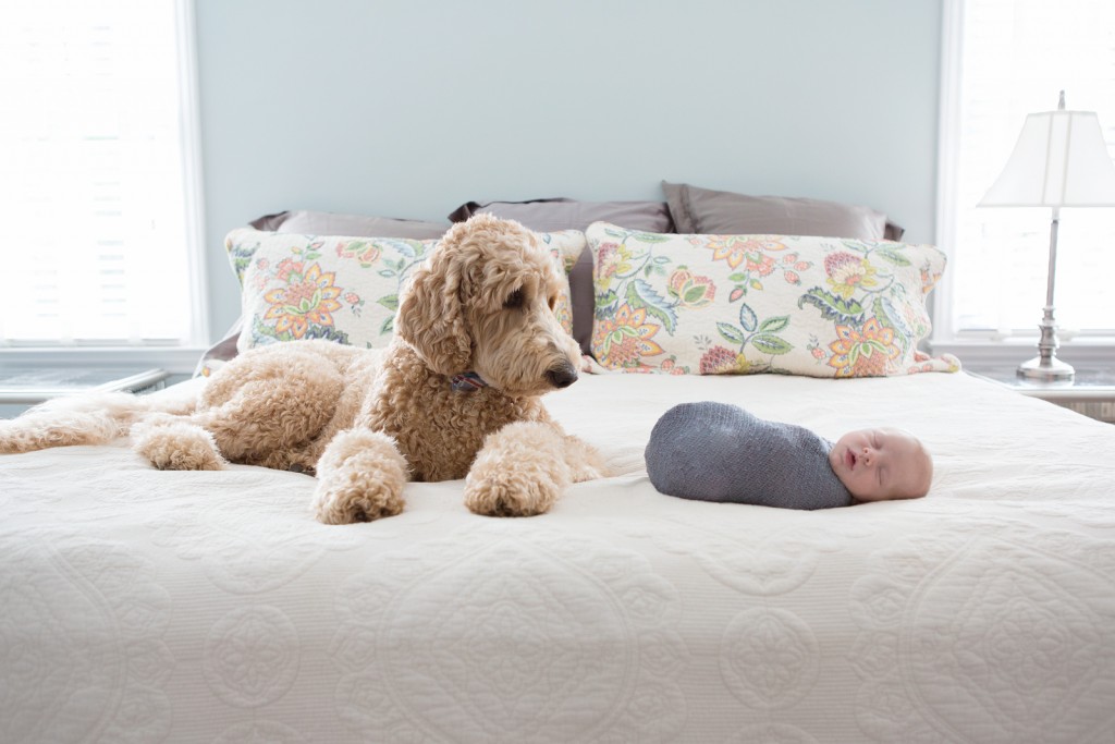 Best newborn pictures with dog