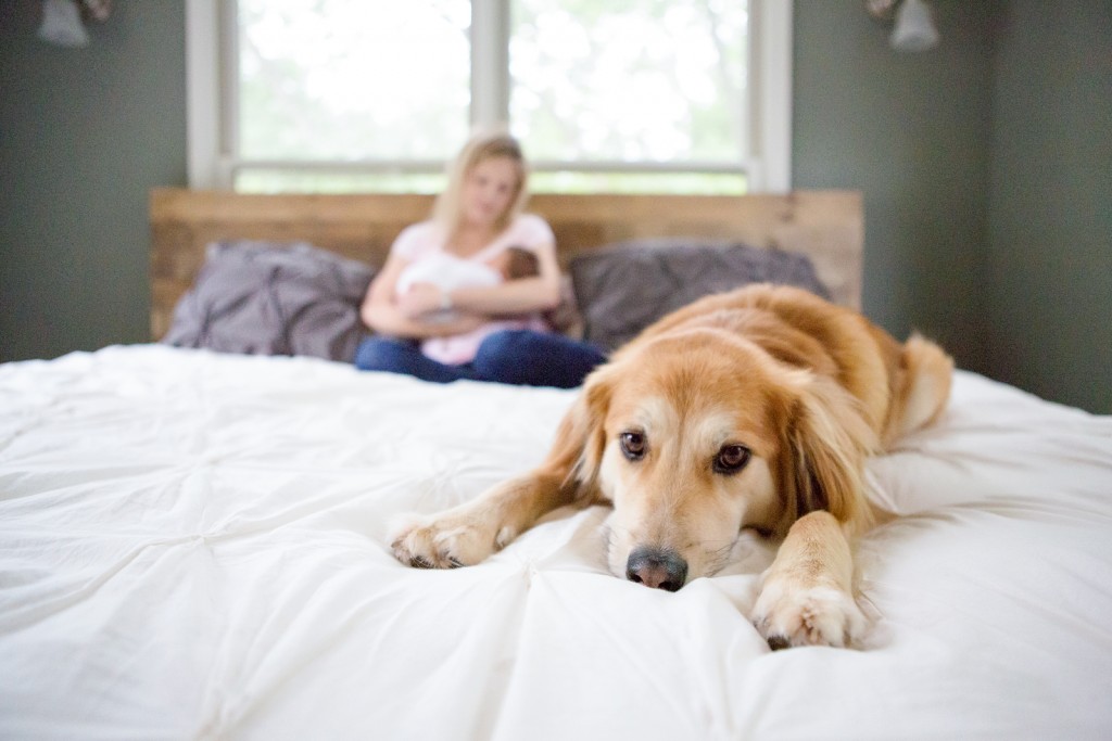 Dog takes pictures with newborn