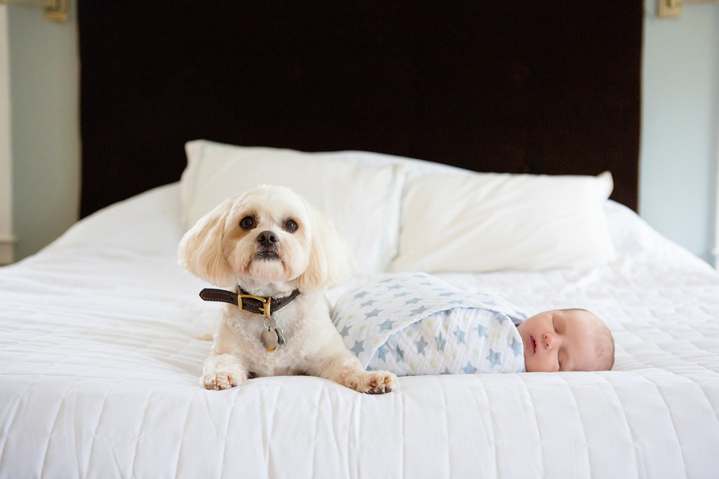 Dog snuggling with baby