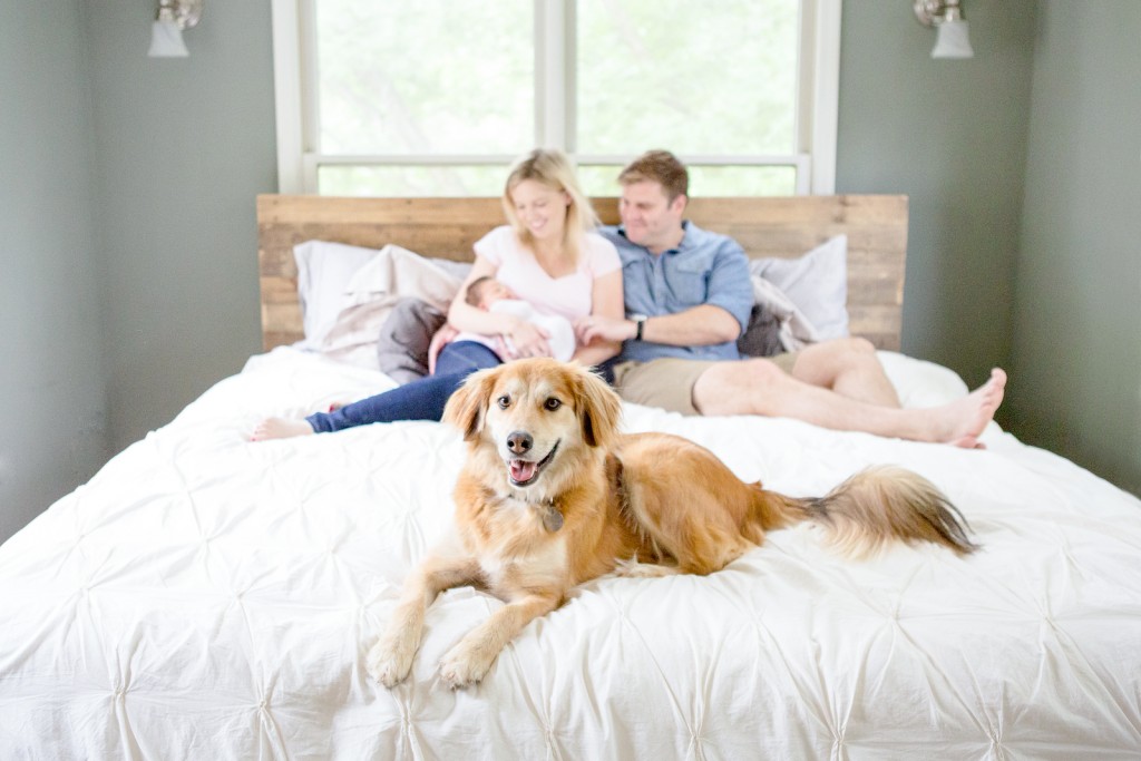 Lifestyle newborn session with dog