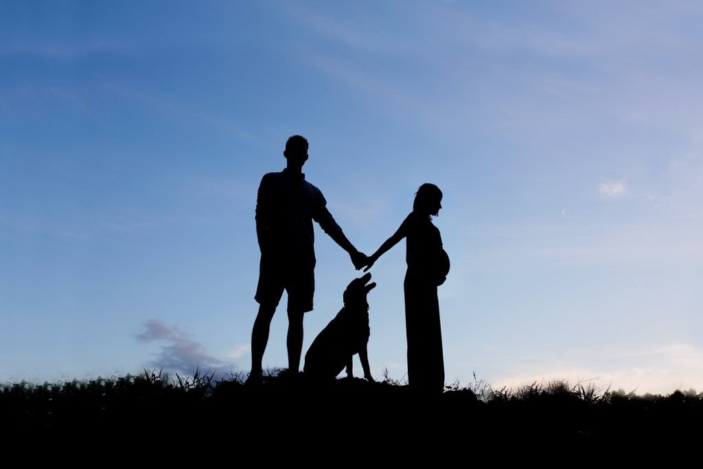 maternity silhouette 