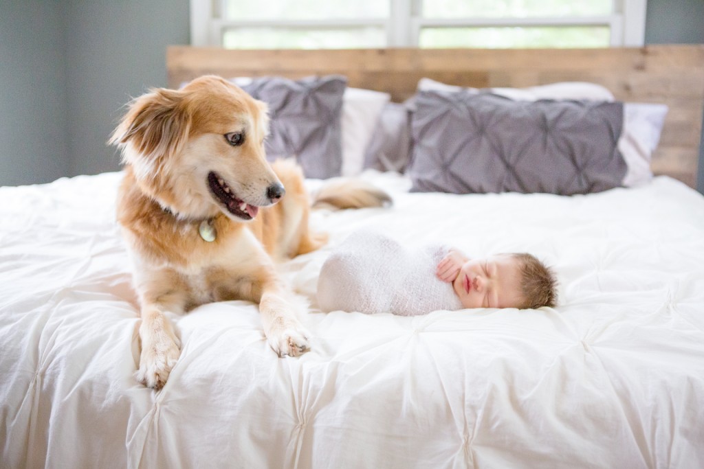 light and airy newborn session