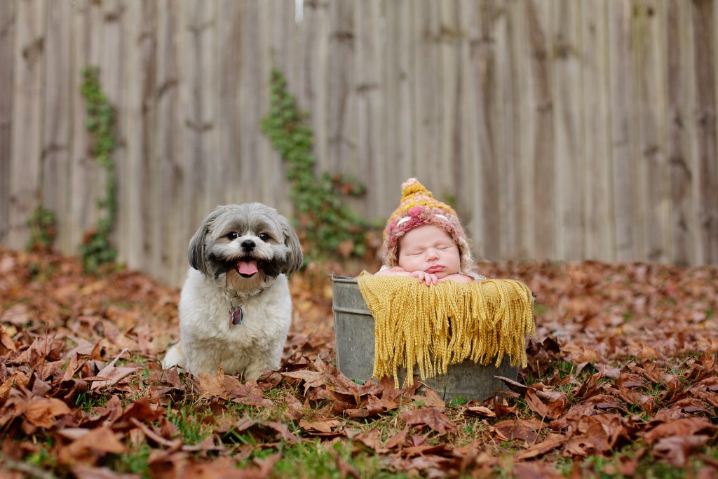 Cool Fall newborn pictures
