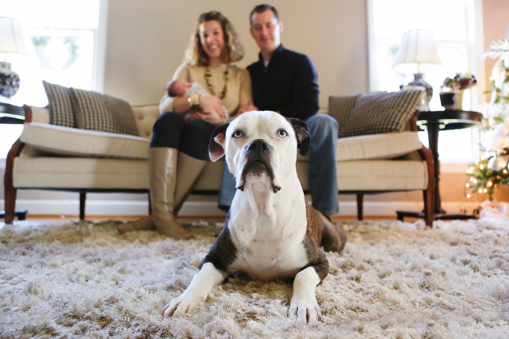 Family pictures with dog